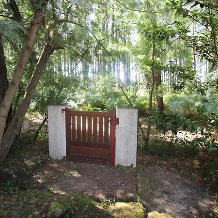 Maison Landaise Familiale 10 Pers Au Coeur De La Foret * Seignosse