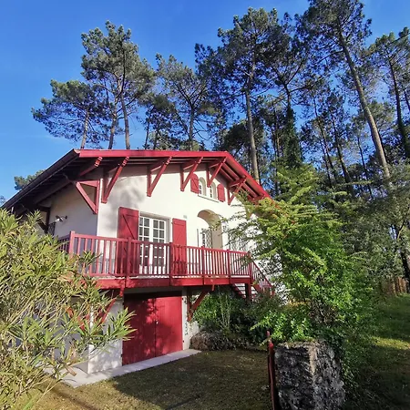 Maison Landaise Familiale 10 Pers Au Coeur De La Foret Holiday home *