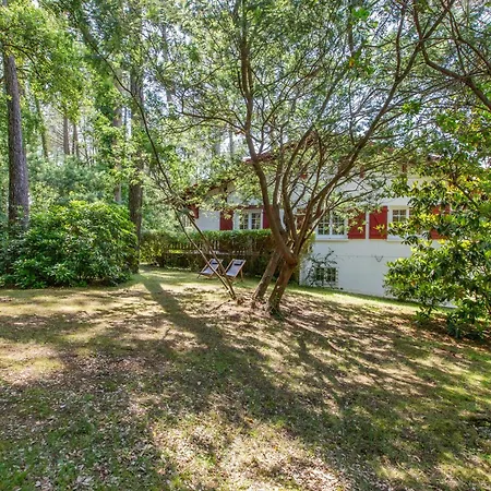 Maison Landaise Familiale 10 Pers Au Coeur De La Foret