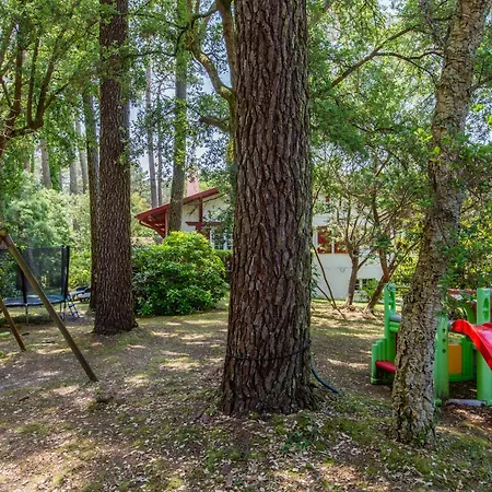 Holiday home Maison Landaise Familiale 10 Pers Au Coeur De La Foret Seignosse