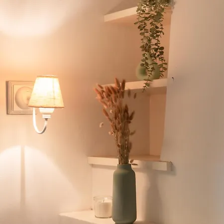Maison Landaise Familiale 10 Pers Au Coeur De La Foret Seignosse