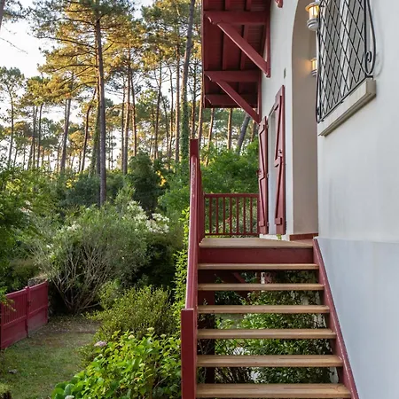 Maison Landaise Familiale 10 Pers Au Coeur De La Foret * Seignosse